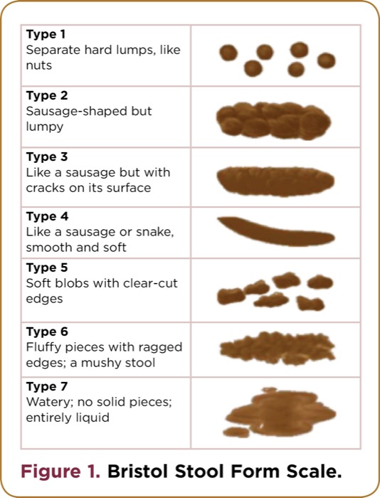 ibs stool shape