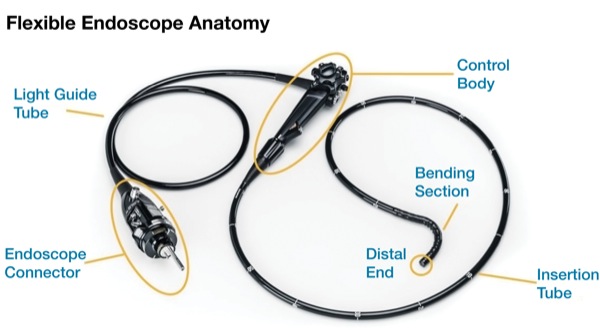 Olympus Endoscope Repair Parts Biology Diagrams