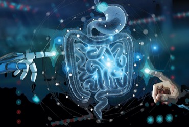 The State of the Art of Artificial Intelligence in Gastroenterology