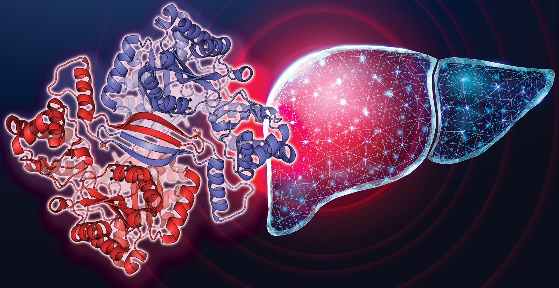 a-stepwise-approach-to-patients-with-abnormal-liver-enzymes