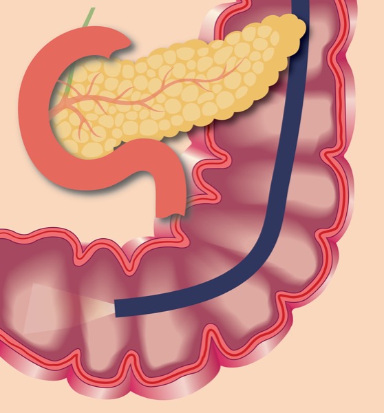 legit semaglutide websites Compounded Semaglutide Weight Management Program legit semaglutide websites Compounded Semaglutide Weight Management Program