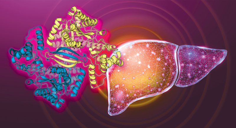 Abnormal Liver Tests Evaluation Approach