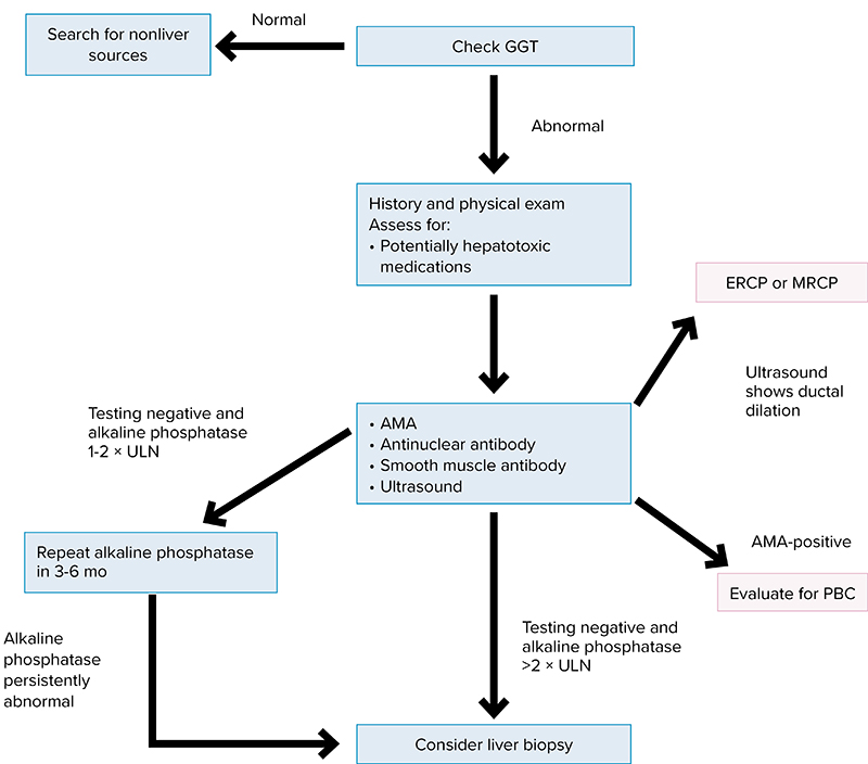 Abnormal Liver Tests Evaluation Approach