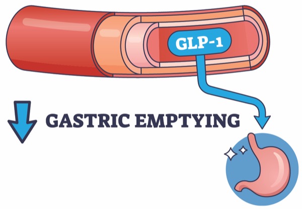 how does glp-1 cause weight loss What is GLP-1 & Does it Affect Weight & Cognition?